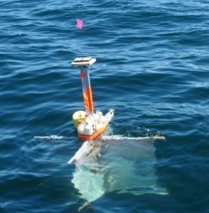 Surface ocean drifter tracking ocean flows.  The GPS-unit on top of the drifter report position every 2 hours.